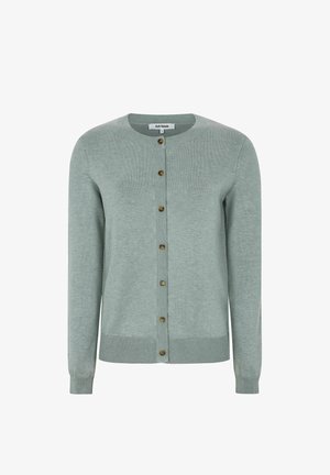 Šviesiai žalias megztinis kardiganas iš megztos medžiagos, su apvalia iškirpte, ilgomis rankovėmis ir priekyje susegamas rudos spalvos mygtukais.