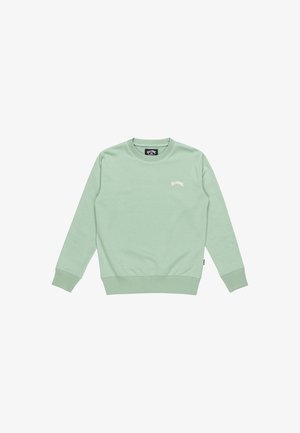 Felpa verde chiaro con collo tondo realizzata in un mix di cotone. Presenta polsini e orlo a costine, con un piccolo logo bianco sul petto.