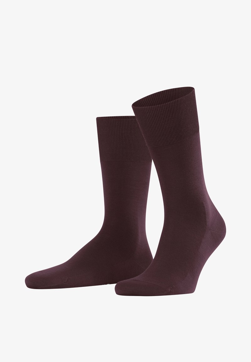 FALKE ClimaWool - Calze - barolo