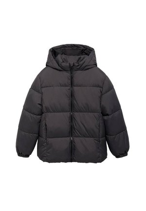 HOOD QUILTED  - Winter jacket - anthracite