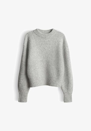 Maglione a coste grigio chiaro, con maniche lunghe, scollo a girocollo e orlo leggermente accorciato, esposto su uno sfondo bianco.