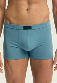 Niebieskie bawełniane bokserki z elastycznym paskiem w talii i metką z logo. Charakteryzują się dopasowanym krojem i gładką fakturą, zapewniając komfort i wsparcie.