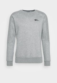 Felpa grigia in tessuto morbido, con maniche a righe a coste e scollo rotondo. Presenta un piccolo logo ricamato sul petto.