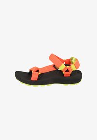 Nevybráno, neon coral