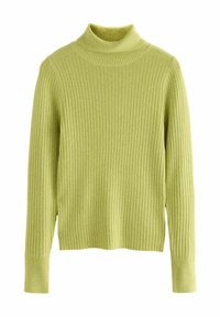 Rippstrick-Turtleneck-Pullover in Hellgrün, mit langen Ärmeln und körperbetontem Schnitt. Hergestellt aus einem strukturierten Strickmaterial.