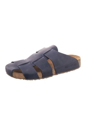 Haflinger PIUS - Mules - blue