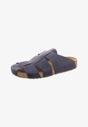 Haflinger PIUS - Mules - blue