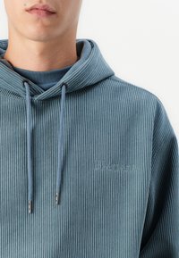 Sudadera de color azul claro, con canalé, capucha con cordón y logotipo en relieve. Presenta un corte relajado y una textura suave, ideal para el uso casual.