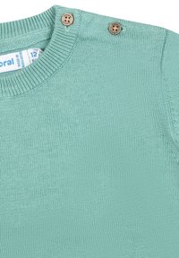 Ljusgrön stickad tröja med rund halsringning och två träknappdetaljer på axeln. Slät struktur, avslappnad design.