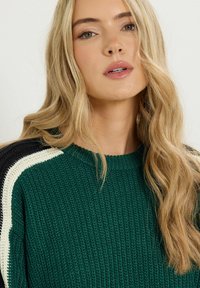 Maglione verde lavorato a maglia con un motivo testurizzato, caratterizzato da strisce contrasti in bianco e nero sulle spalle. Collo rotondo e vestibilità rilassata.