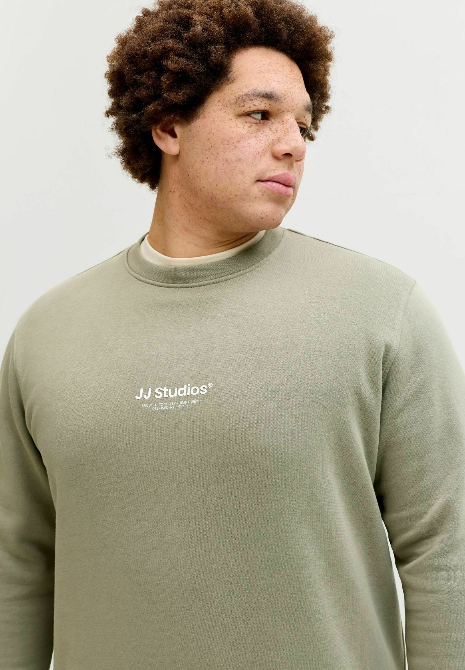Jack & Jones JJESOHO SWEAT CREW NECK NOOS PLS - Sweatshirt - Green