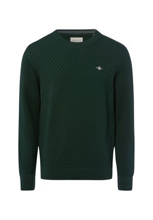 CREW NECK - Pullover - tanne