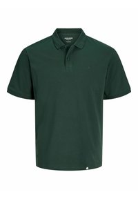 Non selezionato, darkest spruce