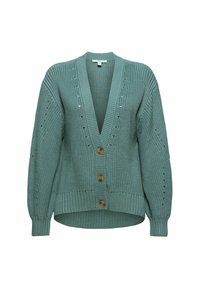 Jasnozielony sweter z dzianiny z dekoltem w kształcie V, długimi rękawami i drewnianymi guzikami. Posiada teksturowe wzory zarówno na korpusie, jak i na rękawach.