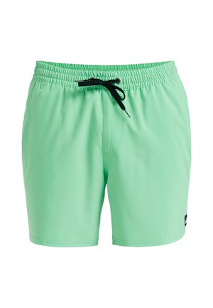 Minzgrüne Badeshorts aus leichtem Material, mit einem elastischen Bund und schwarzen Zugband sowie seitlichem Logodetail.