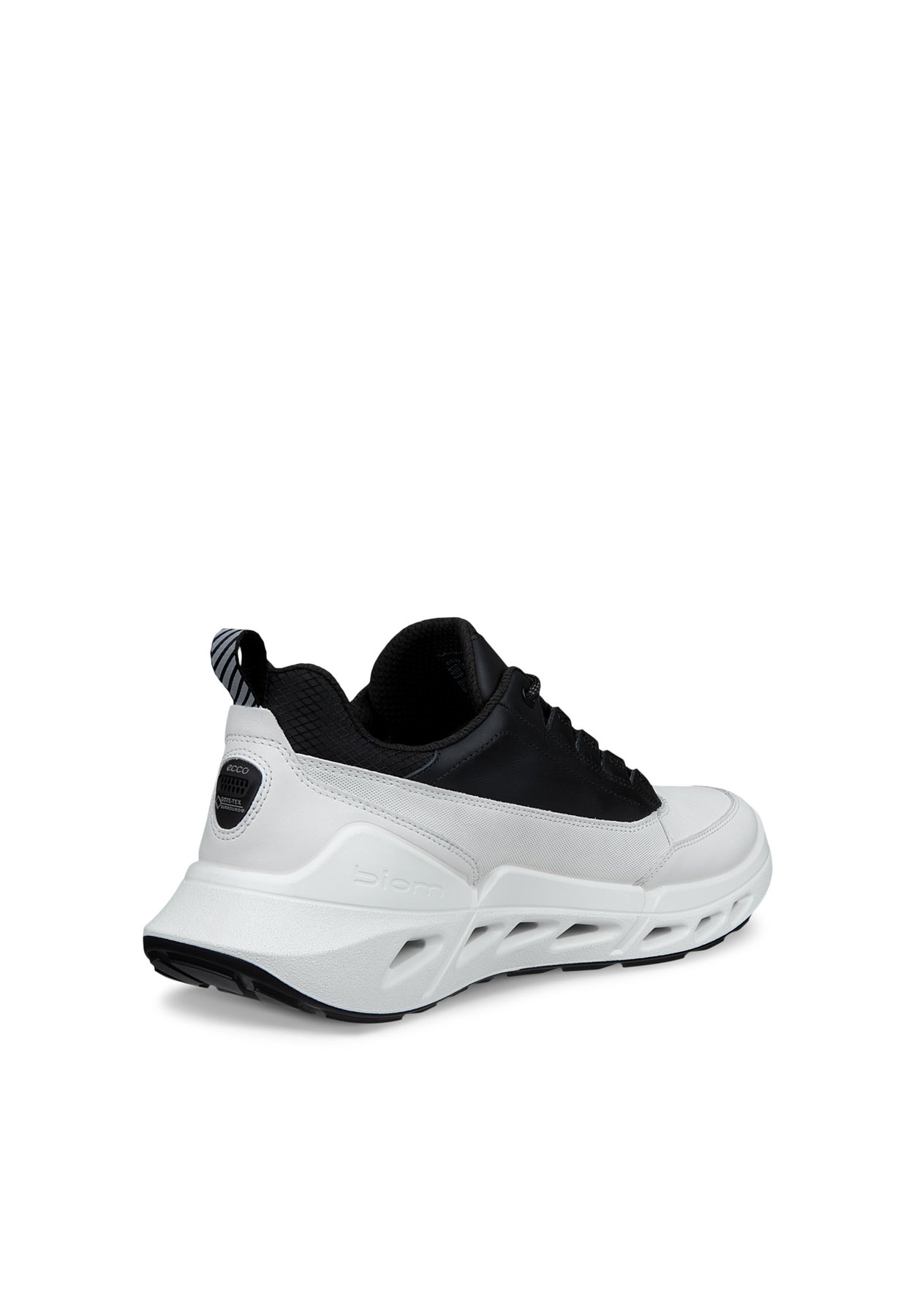 BIOM 720
