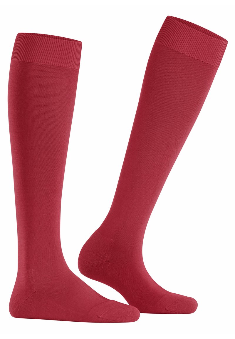 FALKE CLIMA - Kniestrümpfe - scarlet