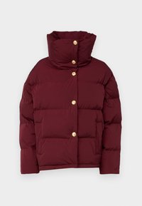 GOLD BUTTON JACKET - Pūkinė striukė - deep rouge