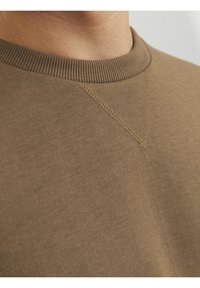 Felpa marrone a girocollo con scollatura a costine e dettagli di cucitura leggera, realizzata in un tessuto morbido con una texture liscia.
