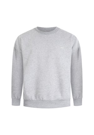 Lichtgrijze sweatshirt met een ronde hals, lange mouwen, ribgebreide manchetten en tailleband. Subtiele branding op de borst. Zachte stoftextuur.