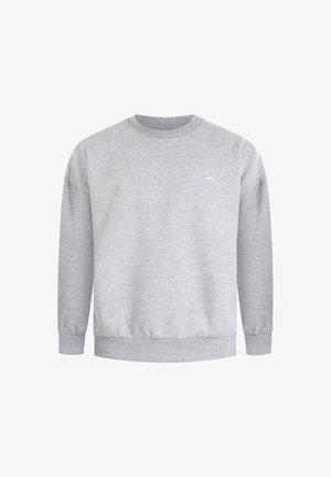 Helles graues Sweatshirt mit Rundhalsausschnitt, langen Ärmeln, gerippten Bündchen und Saum. Dezentes Branding auf der Brust. Weiche Stoffstruktur.
