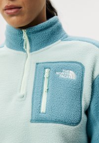 The North Face YUMIORI ¼ ZIP - Flísová bunda - muted pine/algae blue