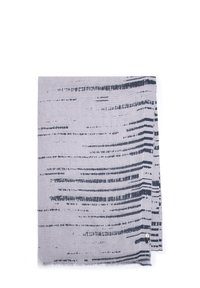 Écharpe grise avec un motif texturé de lignes sombres horizontales. Bords finis avec un détail à franges. Tissu léger, idéal pour le superposition.