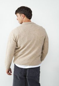 Hellbeige gestrickter Pullover mit Rundhalsausschnitt und geripptem Saum, mit langen Ärmeln und weicher Textur. Rückansicht, getragen über einem weißen Hemd.