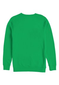 Sudadera verde, hecha de una tela suave, cuenta con mangas largas y un escote redondo. La parte de atrás es lisa, sin ningún patrón ni adornos.