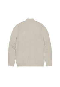 Licht beige gebreide trui met een hoge kraag, lange mouwen en geribde manchetten en zoom. Glad textuur, minimale details op de achterkant.