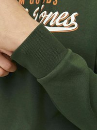 Sudadera verde con puños acanalados, con un diseño de texto en blanco y naranja en el pecho. El material parece suave y texturizado.
