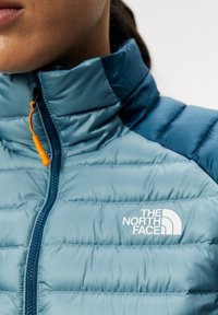 Gros plan d'une personne portant une veste rembourrée bleu clair avec un col montant, des panneaux d'épaule bleu foncé et le logo The North Face sur la poitrine.