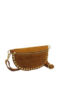 Sac bandoulière en suede marron avec un design courbé, matériel doré, fermeture éclair et clous dorés le long du bord inférieur. Sangle réglable incluse.