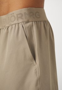 Björn Borg SHORT SHORTS - Sportiniai šortai - winter twig