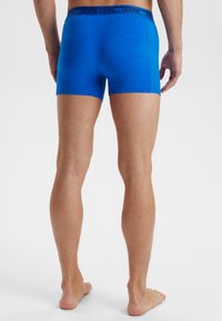 Dovre 3 PACK - Boksershorts - multi coloured