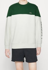 Groen en crème sweatshirt met lange mouwen, geribbelde manchetten en een ronde hals. Voorzien van Lacoste-logo op de mouw. Het materiaal lijkt zacht.