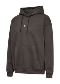 Hummel ASTRALIS FAN LS - Luvtröja - raven