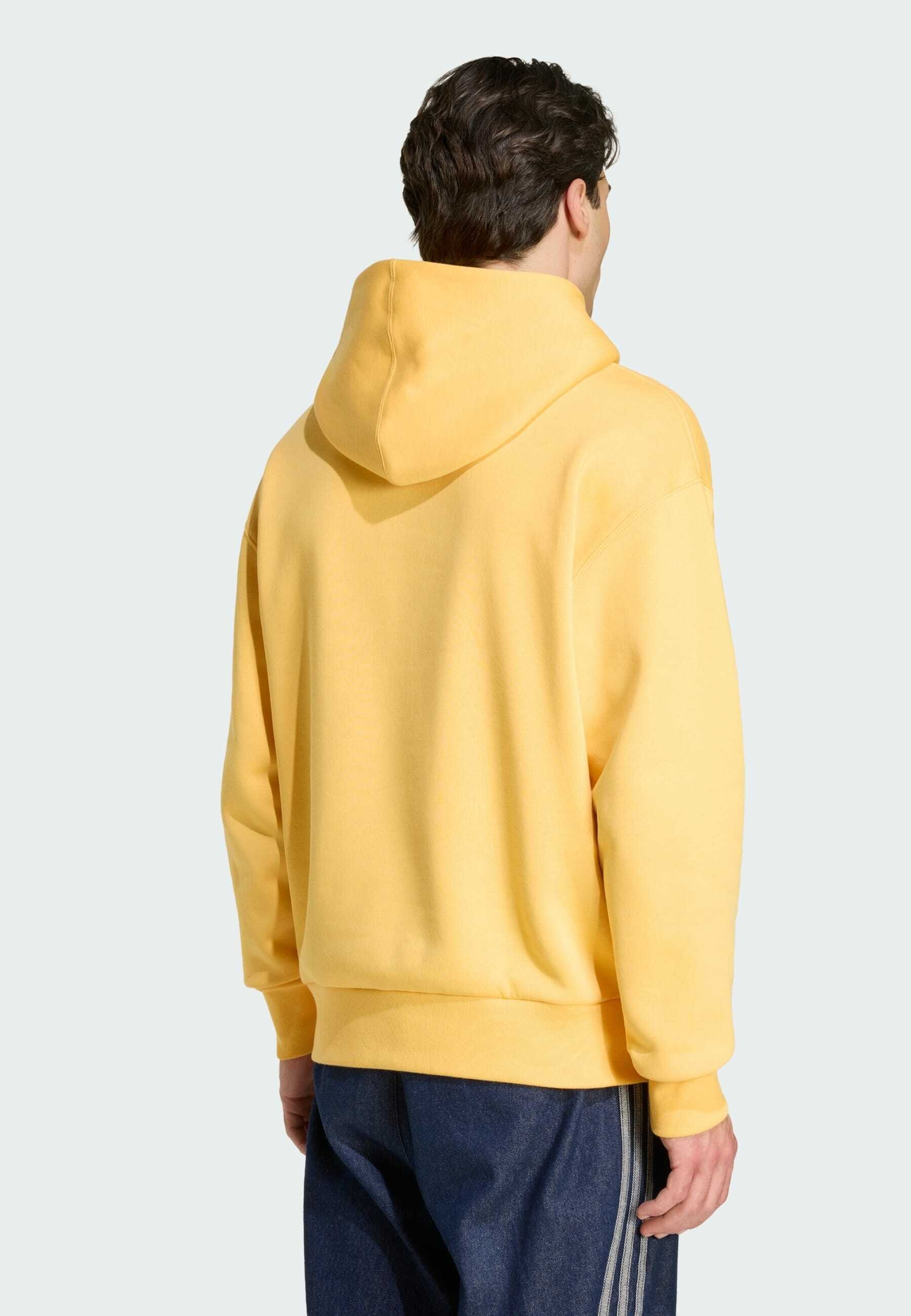 adidas Sportswear TEAM D PARALYMPICS - Hoodie - semi spark/orange
