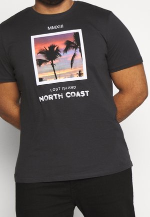 Dunkelgraues T-Shirt mit einem quadratischen Motiv, das Palmen und einen Sonnenuntergang zeigt, sowie dem Text "LOST ISLAND NORTH COAST." Kurzärmlig.