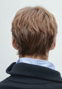 Kurze, wellige braune Haare von hinten gesehen, mit einem marineblauen Kragen und einem hellblau gestreiften Hemd darunter. Neutrale Hintergrundfarbe.