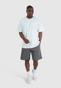 Smilodox MALIN - Camiseta estampada - hellblau