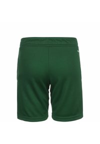 Green athletic shorts made of smooth fabric, featuring an elastic waist and a minimalistic design with no visible patterns or hardware.