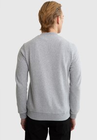 Hallhalli hallitus-sweater, millel on soonikkoes ja hem. Pehme materjal, millel on tekstureeritud pind. Vaade näitab selga ja õlavarte, lihtsa ja kaunistusteta disainiga.