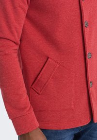 Ombre CASUAL - Felpa con zip - red melange