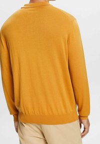 Senfgelbes Strickoberteil mit langen Ärmeln, gerippten Bündchen und Saum. Glatte Textur, leicht lockere Passform, keine sichtbaren Muster oder Grafiken.