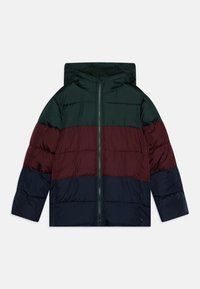 Πάρκα μπουφάν με κουκούλα, φερμουάρ και σχέδιο σε διαφορετικά χρώματα σε σκούρο πράσινο, μπορντό και ναυτικό μπλε. Υφή από μονωμένο υλικό.