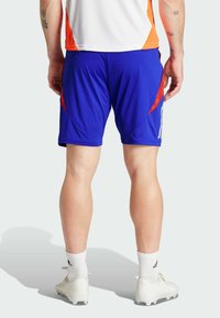adidas Performance TIRO 24 COMPETITION - Kurze Sporthose - lucid blue   white