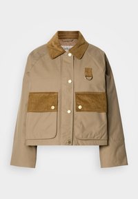 Não selecionado, brown