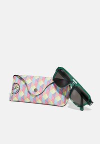 Ray-Ban UNISEX - Ochelari de soare - transparent green
