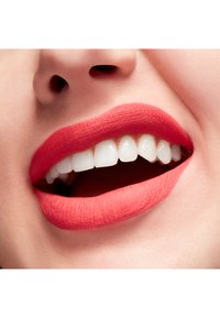 Immagine in miniatura 4